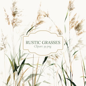 Puede incluir: Ilustración en acuarela de hierbas rústicas en tonos beige, verde y marrón. La imagen presenta tallos de hierba altos y delgados con cabezas de semillas plumosas, sobre un fondo blanco roto. El texto "RUSTIC GRASSES Clipart 39 png" se muestra en un marco decorativo.