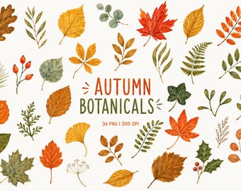 Autumn Botanicals Clipart, Fall Leaves and Branches PNG, Herbarium Clipart, Botanical Journal Elements, Cottagecore Fall Foliage