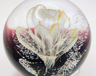 Caithness 'Honesty' Limited Edition Paperweight by Colin Terris 1983 - Scottish Art Glass 199/250
