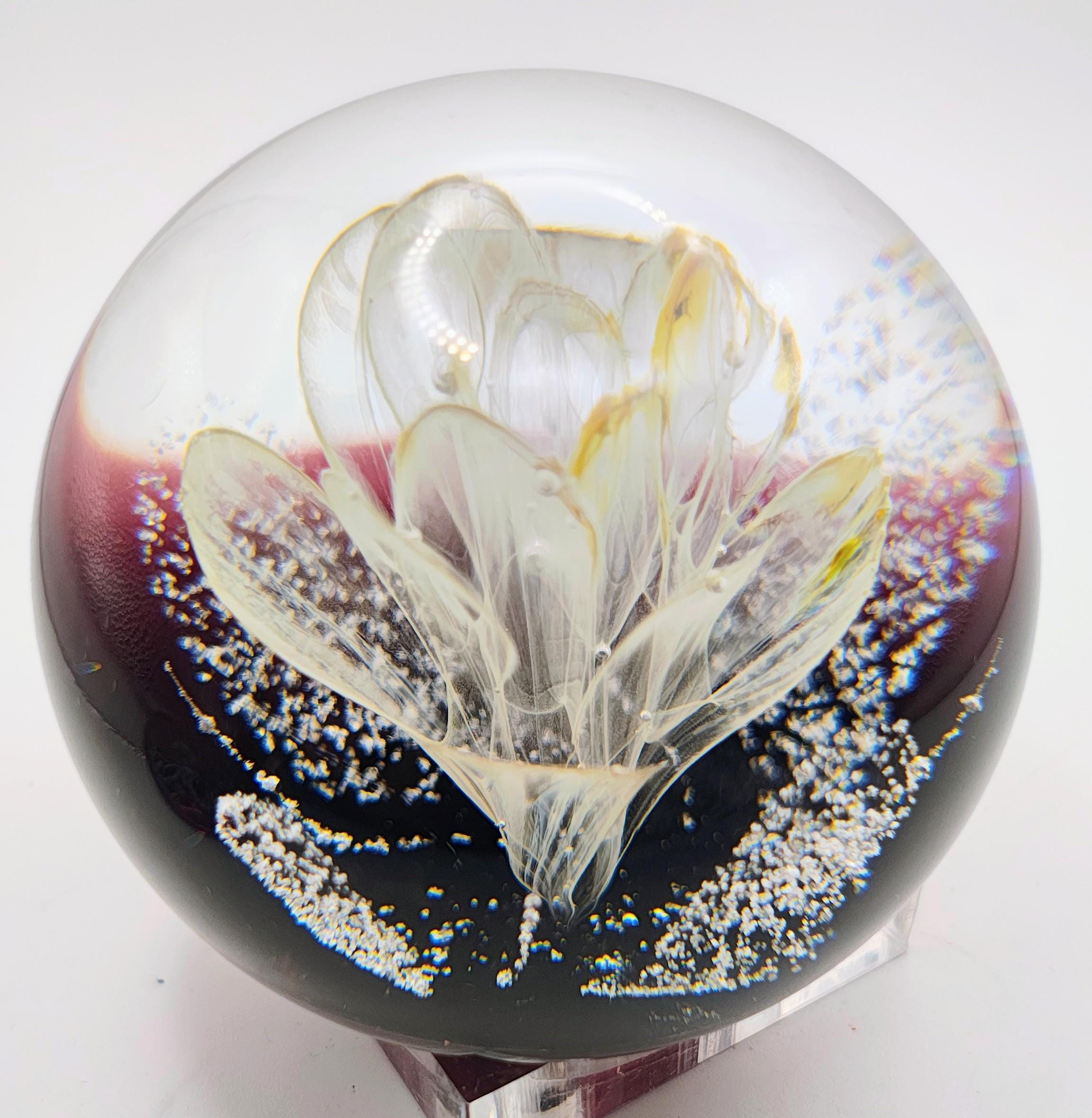 Caithness Glass Paperweight - Etsy