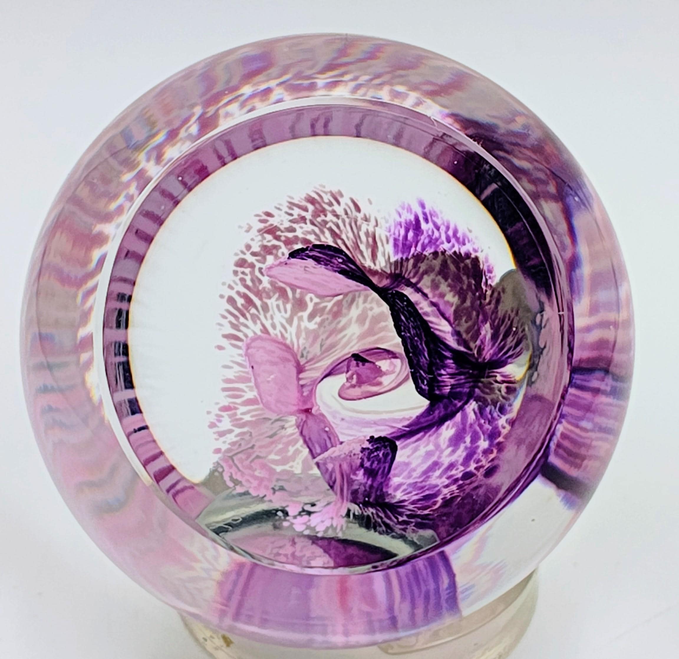 Caithness Glass Paperweight - Etsy
