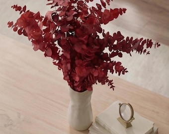 Podridão de Eucalyptus Stuartiana | Eucalyptus Stuartiana Vermelho Preservado | Eucalyptus Stuartiana Vermelho