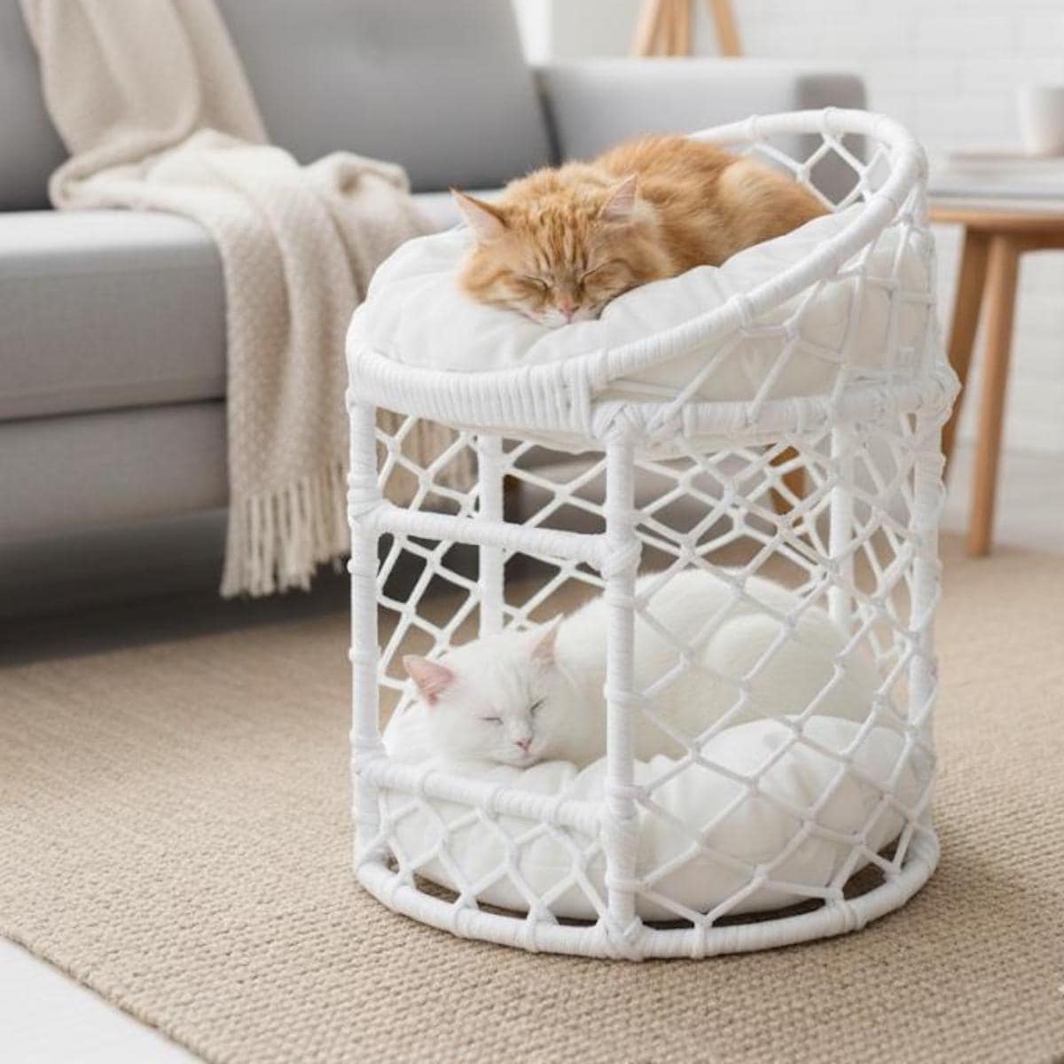 Rahman Double Lounger - Meuble pour chat fait main avec 2 fauteuils (pour chats et petits chiens)