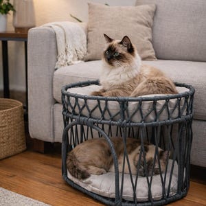 Pode incluir: Uma cama para animais de estimação de dois níveis com uma estrutura trançada cinza-escura e duas almofadas redondas de cor clara. Um gato de pelo comprido com pelagem castanha e creme está sentado no nível superior, enquanto outro descansa.