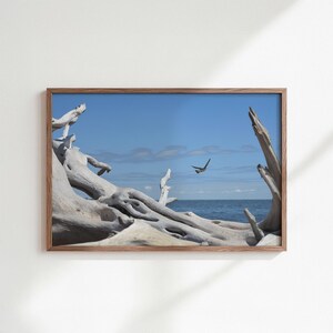 Puede incluir: Una impresión enmarcada que presenta una escena costera. La obra de arte muestra madera flotante desgastada en primer plano, el mar azul y un pájaro en vuelo contra un cielo azul claro. El marco es de madera natural.