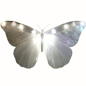 Adesivo trasparente a forma di farfalla luminosa — Vinile fustellato (7,6 x 10,2 cm)