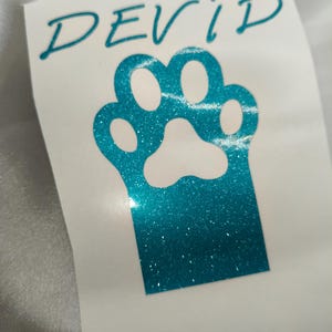 Car Sticker JDM cute pet name with paw Cat or Dog sticker 12cm long | glitter vinyl | sparkle sticker | bling