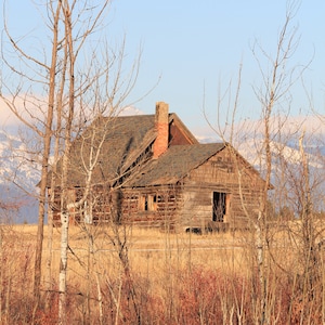 Può includere: Un'antica capanna di legno con un camino in mattoni rossi si erge in un campo di erba alta e secca. La capanna ha diverse finestre e una porta, e il tetto è ricoperto di tegole. La capanna è circondata da alberi e cespugli, e sullo sfondo si erge una catena montuosa.