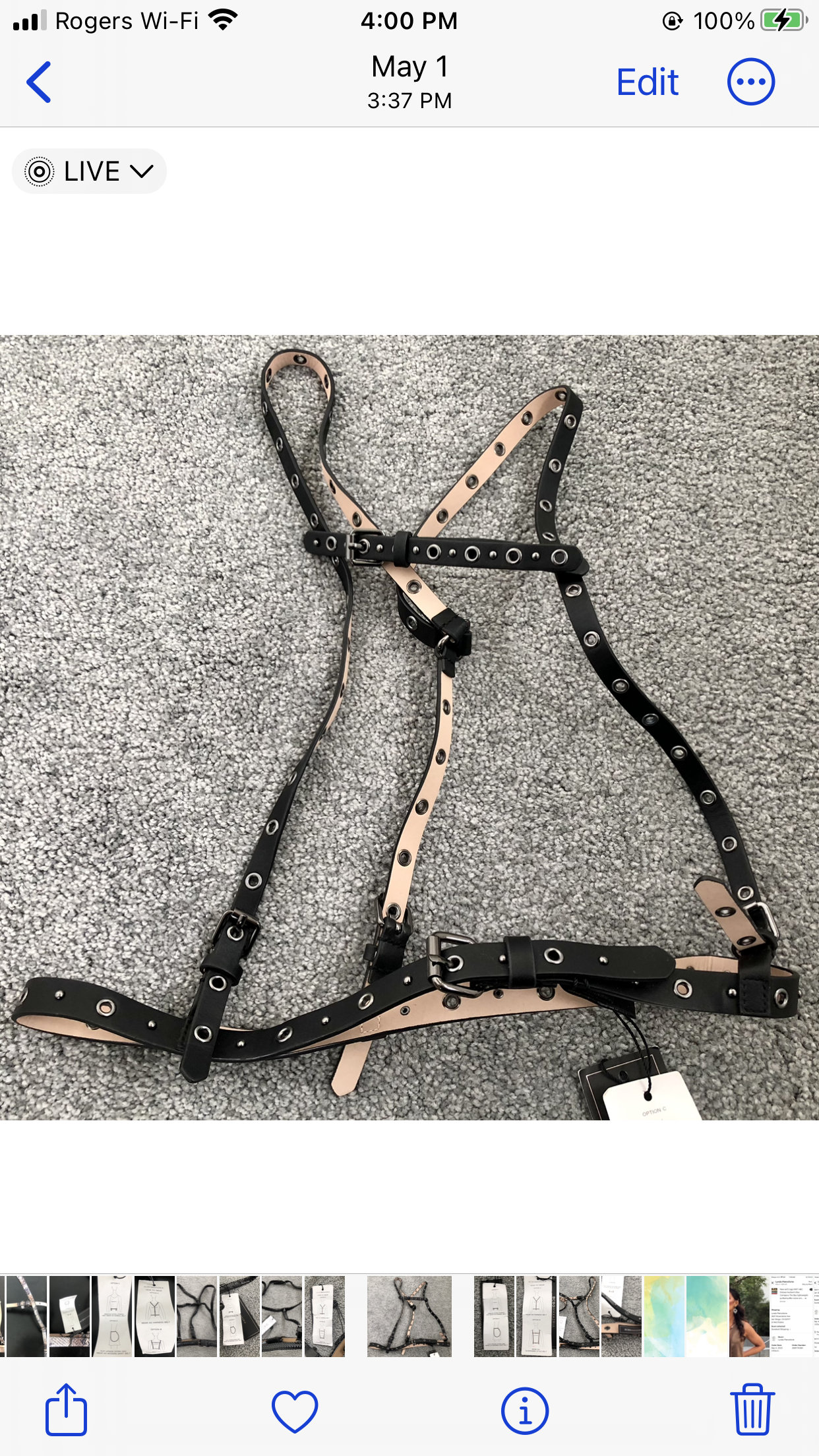 BCBGMAXAZRIA Womens Black Grommet Studded Convertible Harness Belt S NEW BCBGMAXAZRIA Black Perforated Studded Sexy Body Harness Belt  main image 4