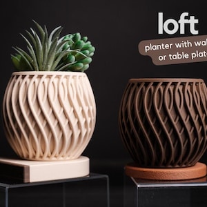 May include: Two decorative planters with a unique wave design. One is a light beige color and contains a succulent plant. The other is a dark brown color. The planters are on a clear surface with a black background. The word "loft" is in the upper right corner.