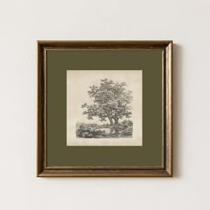 May include: A framed black and white tree print. The artwork features a detailed illustration of a large tree with a river and foliage in the background. The print is set in a gold-toned frame with a green mat.