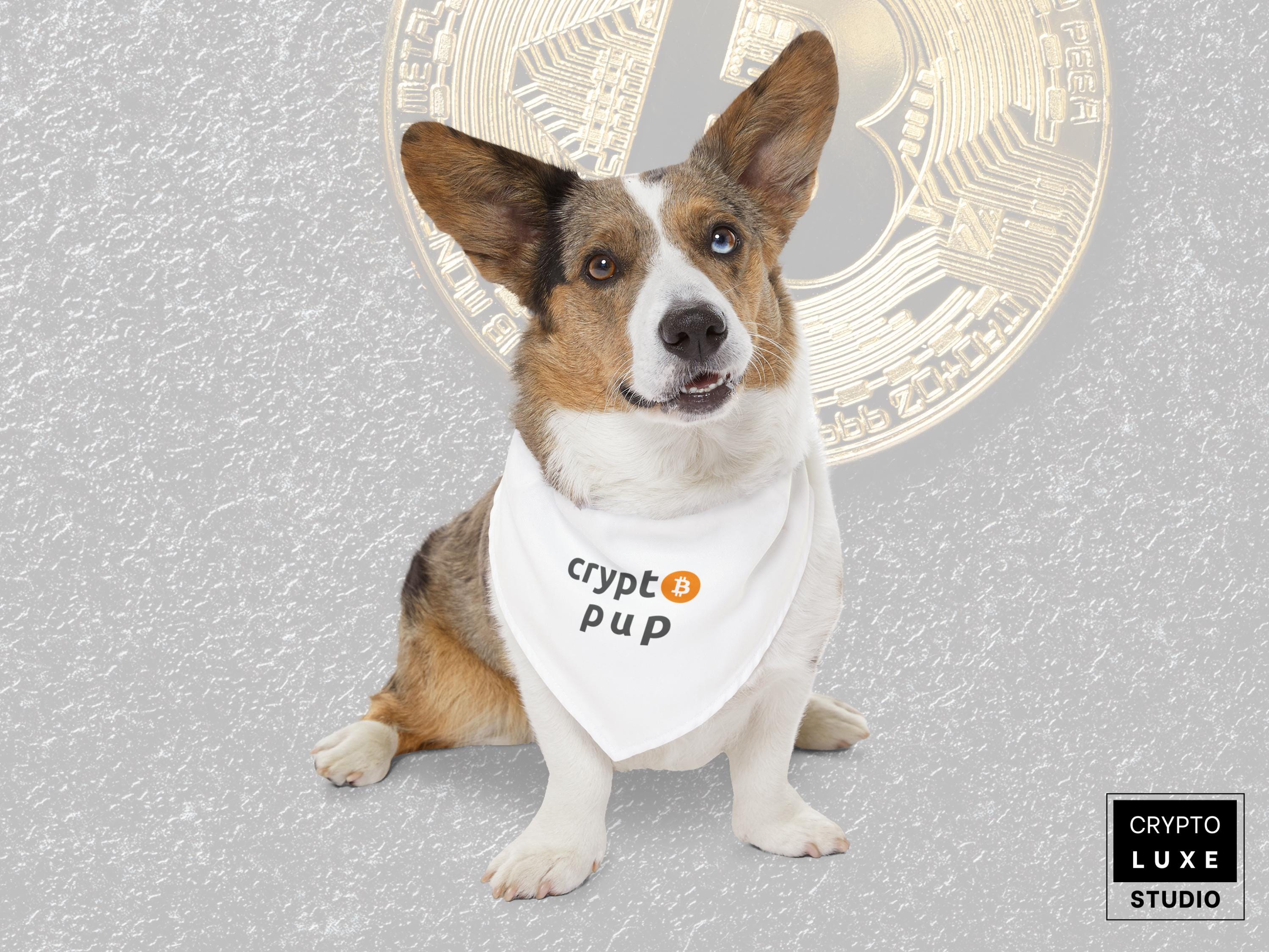 Crypto Pup Dog Bandana Funny Bitcoin Pet Gift for Dog Lovers Dog Collar  Bitcoin Scarf Accessory Christmas Birthday Pet Bandana Collar Gift - Etsy