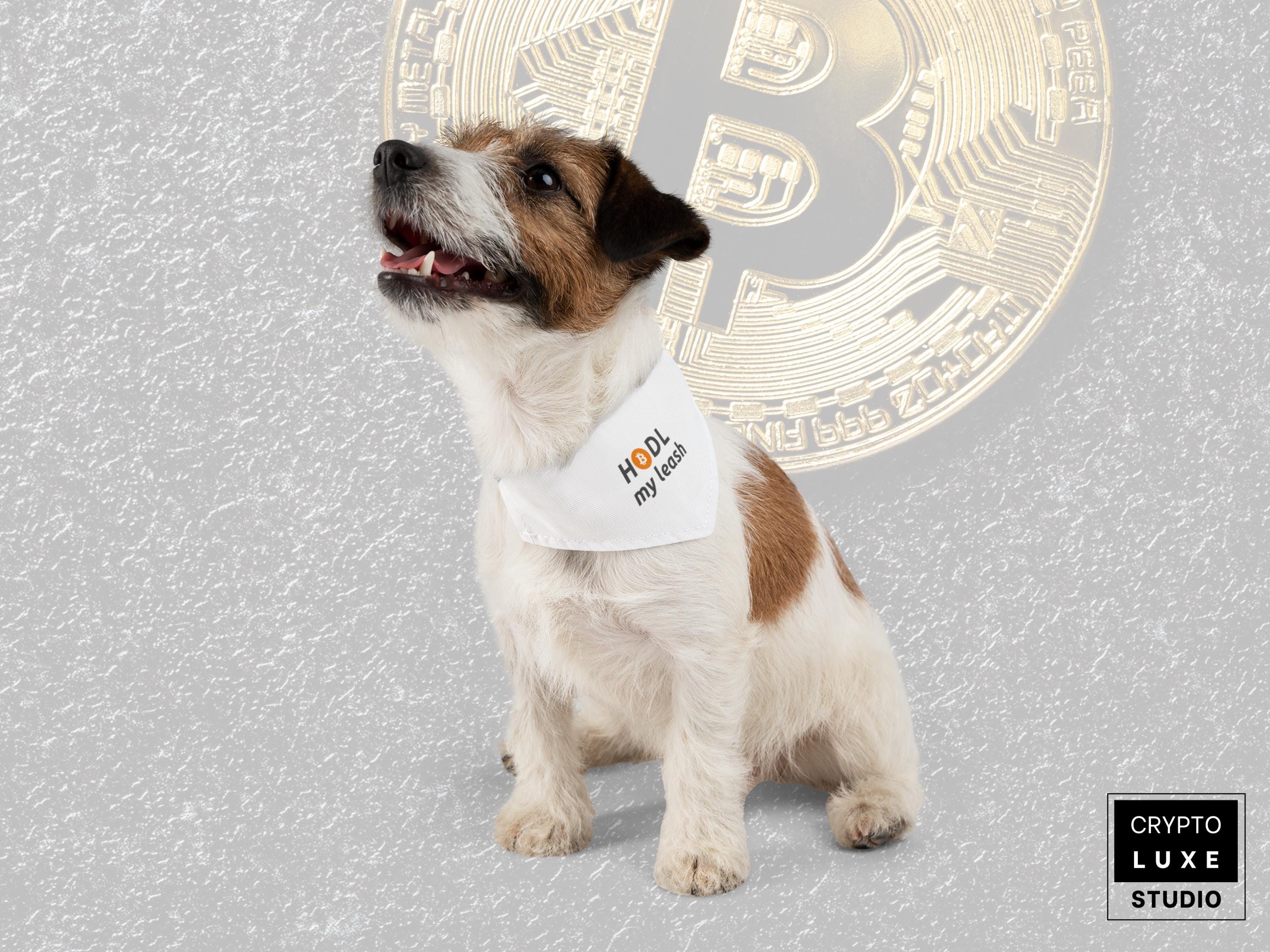 Bitcoin HODL Dog Bandana Funny Crypto Christmas Pet Gift for Dog Lovers  Bitcoin Dog Collar Crypto Scarf Accessory Crypto Pet Bandana Collar - Etsy