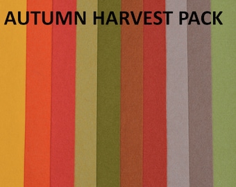 AUTUMN HARVEST 100% Wool Felt Pack - 10 sheets