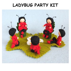 Ladybug Party Kit- summer, ladybird, garden, woodland, pattern, sewing, decoration