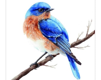 May include: Watercolor painting of a bluebird perched on a brown branch. The bird has vibrant blue feathers on its back and head, with a rust-colored chest and belly. The artwork is set against a clean white background.