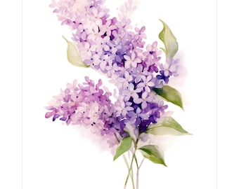 Serie di biglietti d'auguri "Fiori di lillà", set da 12 biglietti