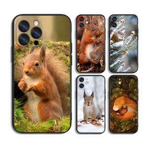 Op de afbeelding: Een verzameling telefoonhoesjes met afbeeldingen van eekhoorns in verschillende natuurlijke omgevingen. De hoesjes tonen eekhoorns in verschillende poses en omgevingen, waaronder op een boom, in de sneeuw en tussen bladeren. De hoesjes hebben een zwarte rand.