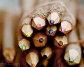 SALE: Colored Pencils. 5x7 Film Fine Art Photograph, Children Nursery, Kids Room Home Decor Teacher School Creative Class Education