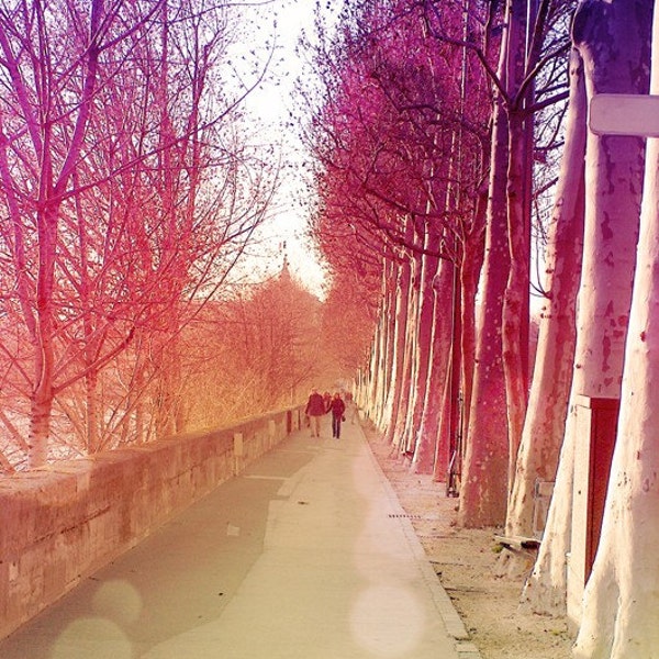 Seine River Walk. Photograph 13x18cm