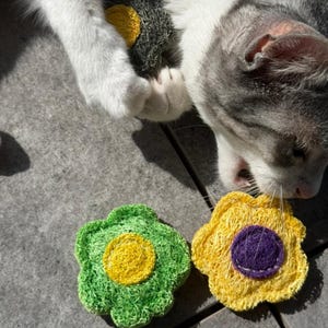 Natural Loofah Cat Toy 100% Plant-based Handmade Colorful Gift for Cat Lovers, Housewarming gift with pets, for Home & Garden, Cat Health