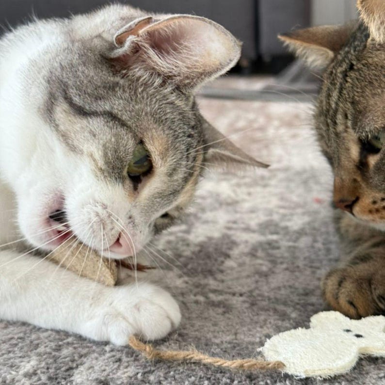 Eco Cat Toy Silvervine Infused Mouse with Feather Tail, Handmade from Loofah cat product, Chase and Chew toy, Cat lover gift, Pet buddy image 5