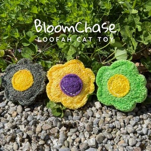 Eco-Friendly Silvervine Cat Toy – Natural Loofah for Cats, Organic Catnip Alternative, Handmade Kitten Toy, Cat Lover Gift, Cat Enrichment