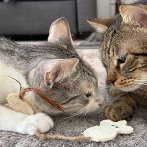 Eco Cat Toy Silvervine Infused Mouse with Feather Tail, Handmade from Loofah cat product, Chase and Chew toy, Cat lover gift, Pet buddy image 2