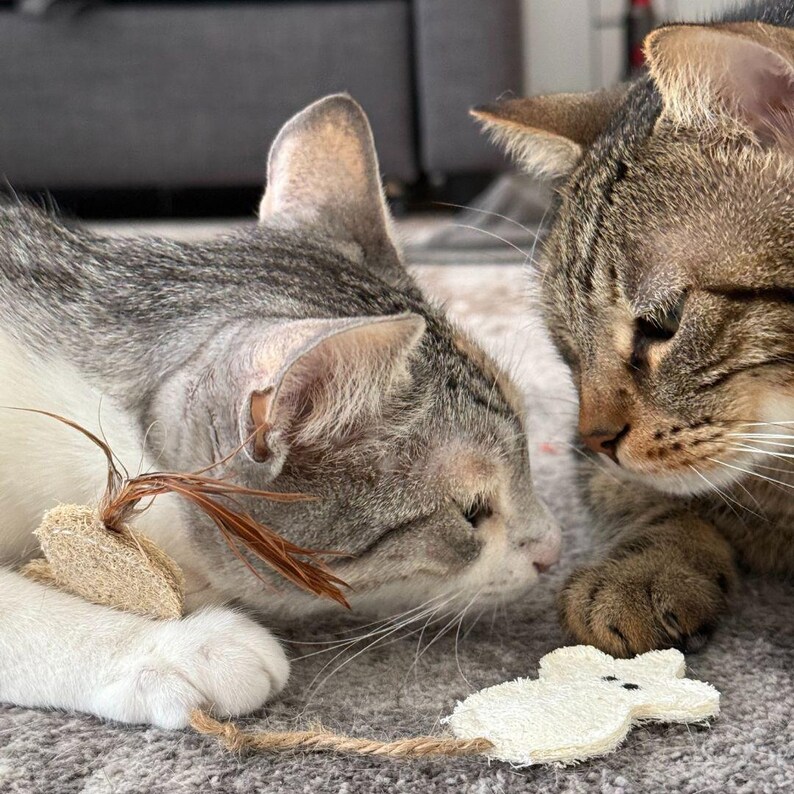 Eco Cat Toy Silvervine Infused Mouse with Feather Tail, Handmade from Loofah cat product, Chase and Chew toy, Cat lover gift, Pet buddy image 2