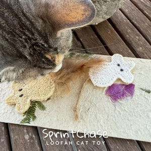 Eco Cat Toy Silvervine Infused Mouse with Feather Tail, Handmade from Loofah cat product, Chase and Chew toy, Cat lover gift, Pet buddy image 10