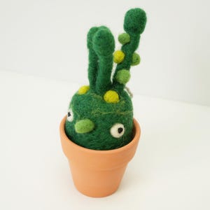 Needle Felted Bean Plant in Clay Pot, Organic Wool Decor