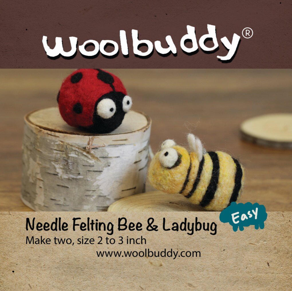 Woolbuddy Needle Felting Kit, Beginner Felting Kit, Felting Tools Included, 40 Colored Felting Wool, Mini Needle Felting Pad, 4 Needle Felting