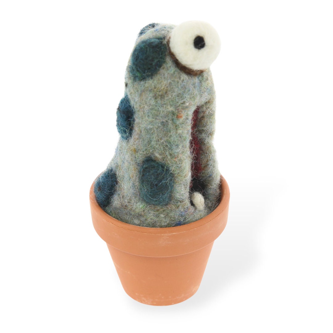  Woolbuddy Needle Felting Kit, Cactus Monster Felting Kit for  Beginner Adults, Kids Needle Felting Kit Succulent, 4 Felting Needles,  Felting Wool, Foam Pad, 2 Clay Pots and Photo Instructions : Arts