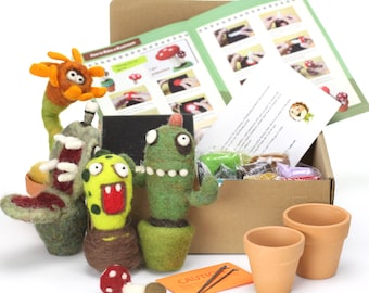 Succulent Felting Kit For Beginners, Felt Succulent Kit, Cactus Felting Kit, DIY Craft Kit, Plant Felting Kit, Plants Wool Kit, Mothers Day