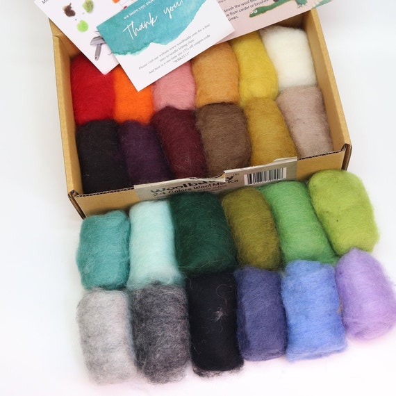 Needle Felting Starter Kit for Beginners Adults 24 Colours Wool Roving  Felting Set with Complete Accessories Natural Felting 