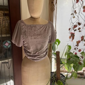 May include: A mauve velvet top with puffed sleeves. The top has a square neckline and a fitted silhouette.