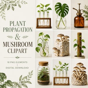 Op de afbeelding: Een digitale collectie van plantvermeerdering en paddenstoelen clipart met glazen reageerbuisjes in houten standaards, een monstera blad in een pot, een amberkleurige plantenspuit, een mosstok met klimplant, een terrarium en paddenstoelen op blokken.