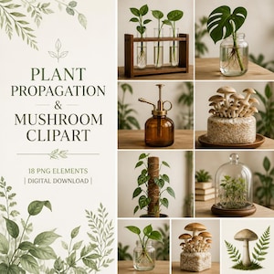 Botanical Lab Clipart PNG | Glass Propagation Station Stickers | Test Tubes Flasks Science Plant Care | Mycology Laboratory Instant Download
