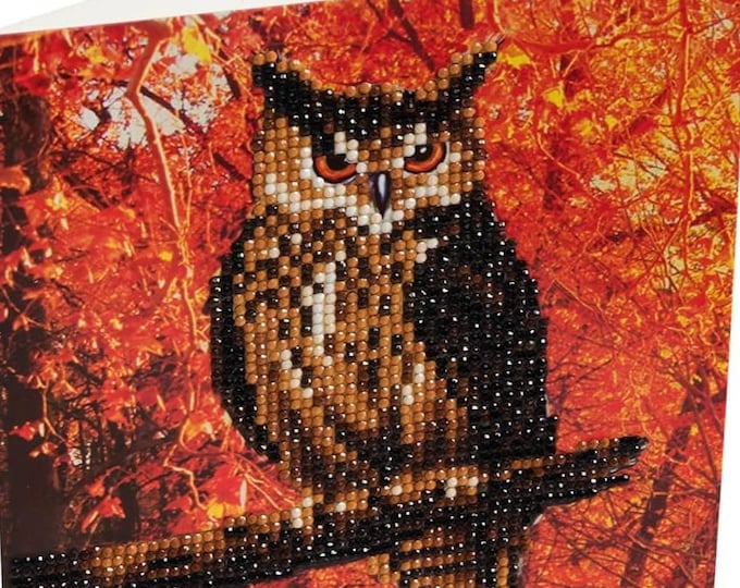 Featured listing image: Night owl Crystal handmade card
