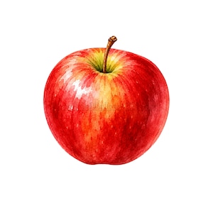 Imagen PNG de una manzana roja en acuarela, ilustración realista de fruta (descarga digital).