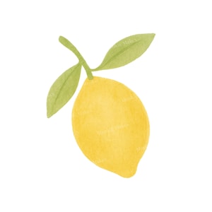Zitrone Clipart PNG - Aquarell gelbe Früchte mit grünen Blättern für Küchen Drucke, Aufkleber, Rezeptkarten & Sommer Basteleien - digitaler Download