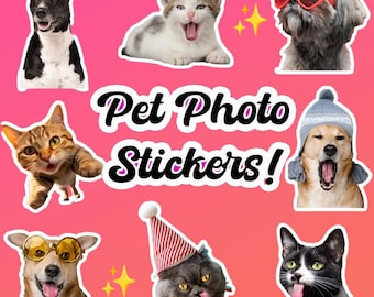 Grappige kat foto permanente sticker, aangepaste foto uv-sticker, aangepaste huisdier foto uv dtf-sticker, maak je eigen sticker aangepaste hond fotosticker