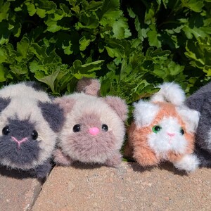 May include: Five small, fuzzy, handmade plush cat toys arranged in a row. The cats feature varied color patterns including calico, grey and white, light brown, orange and white, and solid dark grey, all with small pink noses and black eyes.