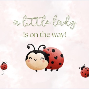 May include: A watercolor-style baby shower announcement with a pink background and floral accents. The text "a little lady is on the way!" is written in cursive. Cute ladybug illustrations are scattered around the design.