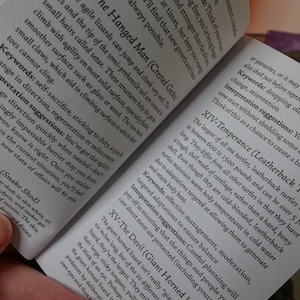 May include: Close-up of two open books with pages showing text about the Hanged Man, Death, Temperance, and The Devil tarot cards. The text includes keywords, interpretations, and suggestions for each card.