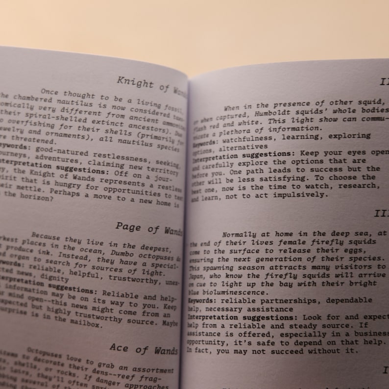 May include: A book open to two pages with the titles "Knight of Wands" and "Page of Wands". The text describes the symbolism of these cards in the tarot deck. The text on the left page describes the chambered nautilus and its symbolism. The text on the right page describes the Dumbo octopus and its symbolism.