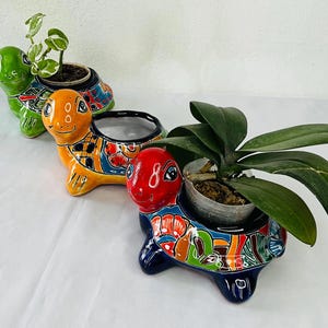 Maceta para tortugas