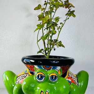 Handmade Talavera Frog Pot: Mexican Pottery Decor