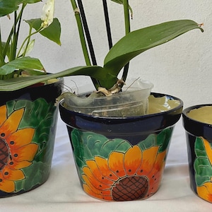 Set of pots