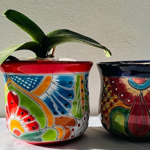Handmade Talavera Flower Pot: Colorful Cactus Planter (5x6 inches)
